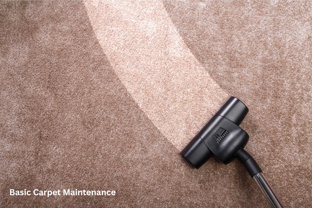 Carpet flooring cleaning | Frazee Carpet & Flooring