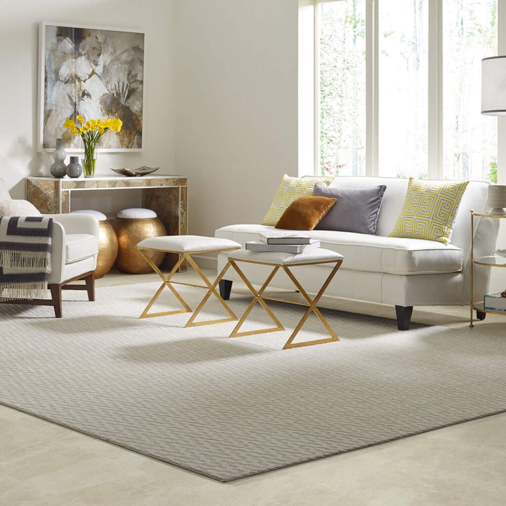 Area Rug | Frazee Carpet & Flooring