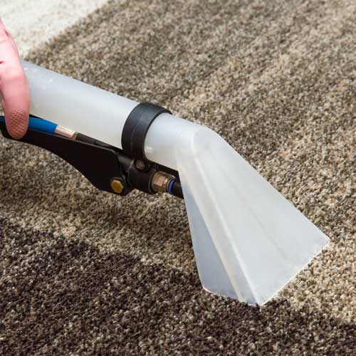 Carpet Cleaning | Frazee Carpet & Flooring